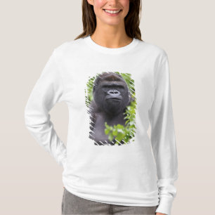 T-shirt Gorille des terres basses de Silverback, Gorilla g