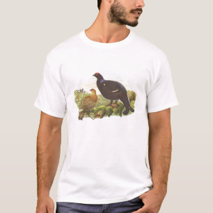 T-shirt Gould - grouse noire - tetrix de Lyrurus