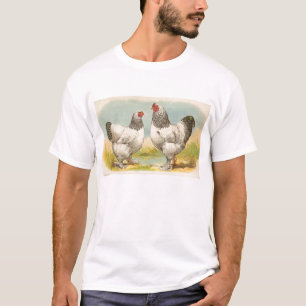 T-shirt Graham - Des poulets brashas légers