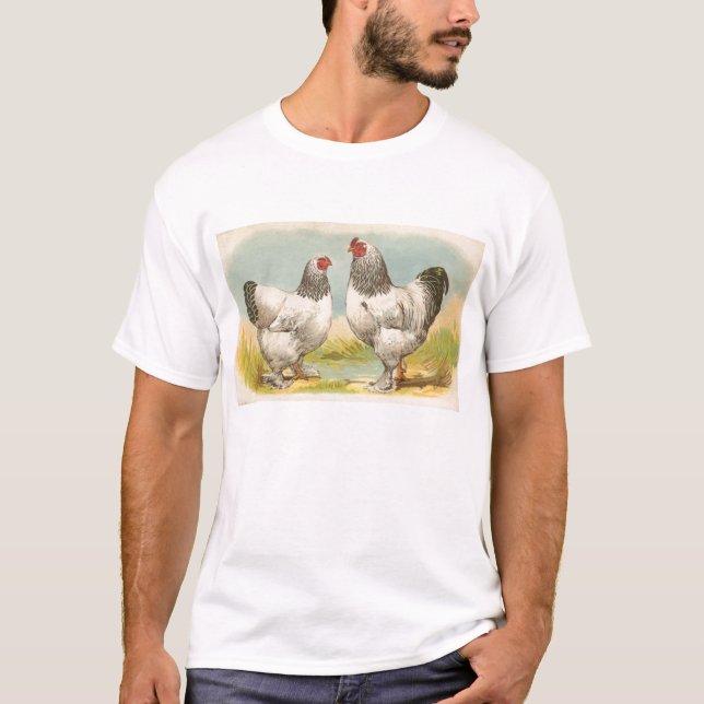 T-shirt Graham - Des poulets brashas légers (Devant)