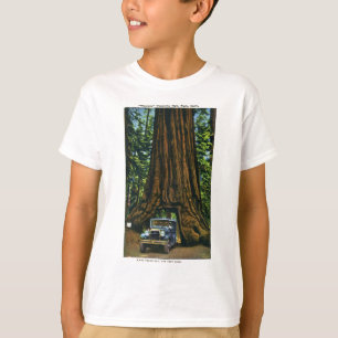 T-shirt Grand arbre Wawona, verger de Mariposa, CA