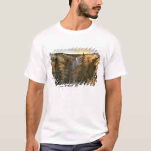 T-shirt Grand Canyon de Yellowstone, Yellowstone