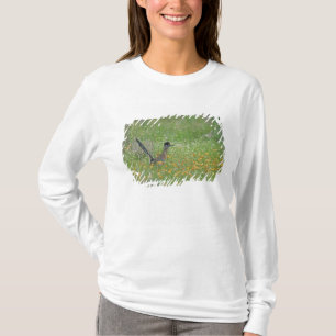 T-shirt Grand Géocoucou, Geococcyx