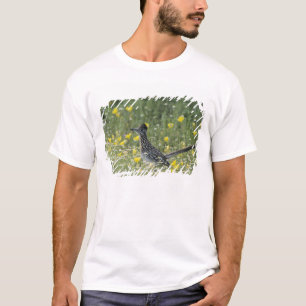T-shirt Grand Géocoucou, Geococcyx californianus,