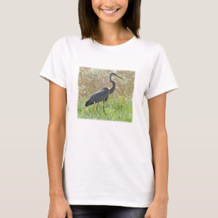 T-shirt Grand héron bleu - Ardea herodias