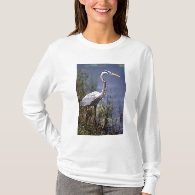 T-shirt Grand Héron bleu oiseau d'eau (Devant)