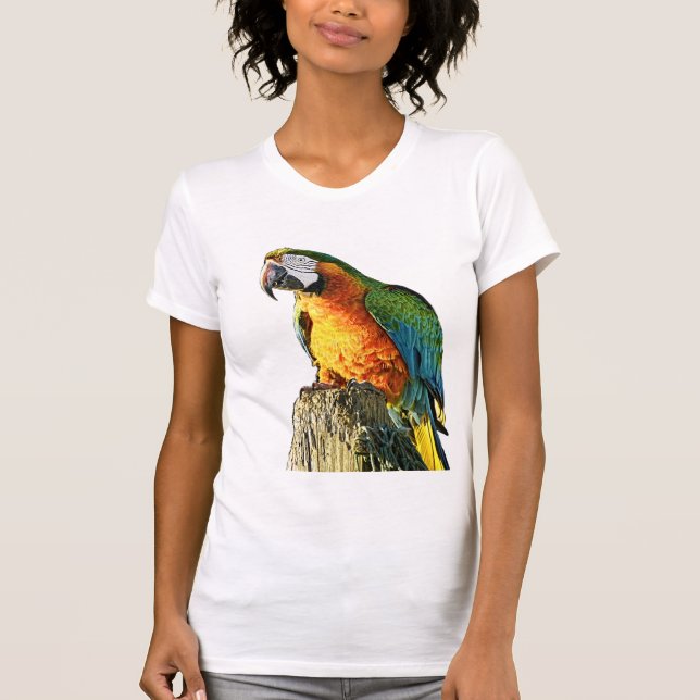 T-shirt Grand perroquet orange et turquoise sur un tronçon (Devant)
