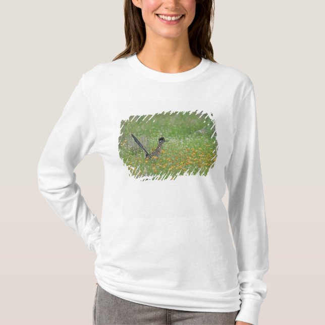 T-shirt Grand Roadrunner, Geococcyx (Devant)