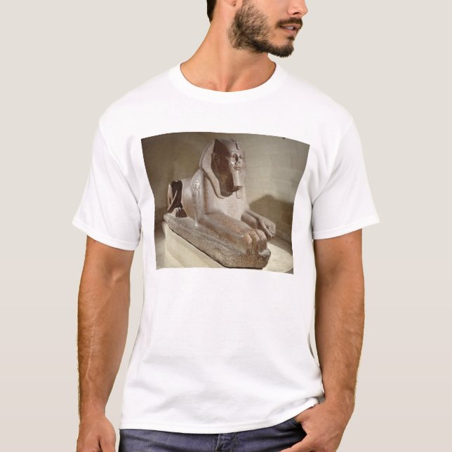 T-shirt Grand sphinx, de Tanis (granit) (Devant)