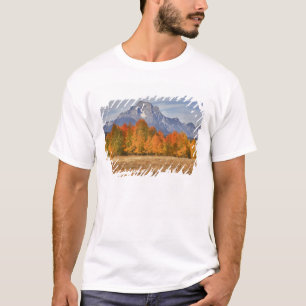 T-shirt Grand Teton NP, Mount Moran et peupliers faux-trem