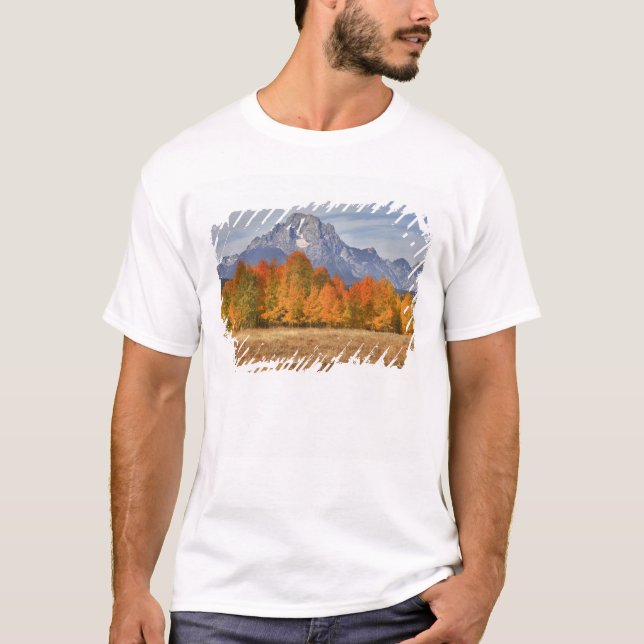 T-shirt Grand Teton NP, Mount Moran et peupliers faux-trem (Devant)