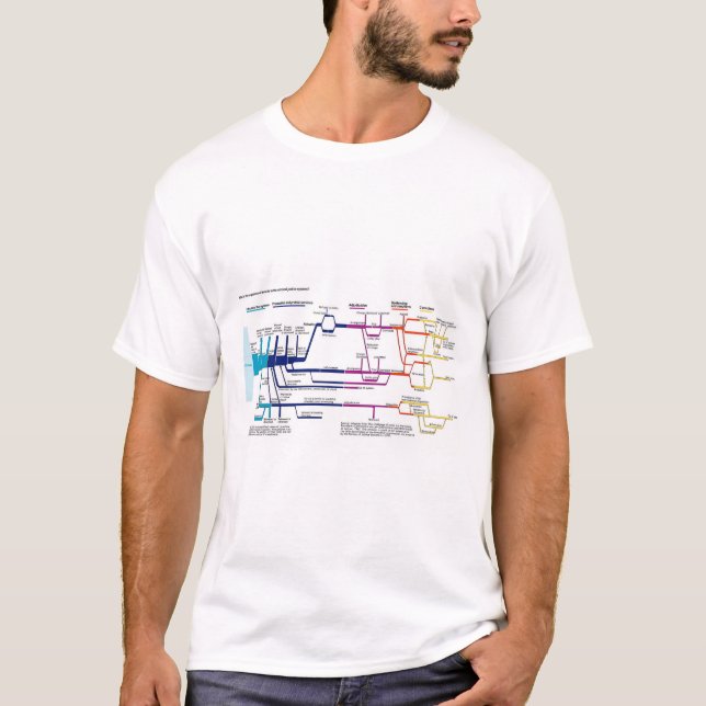 T-shirt Graphique de flux Système américain de justice pén (Devant)