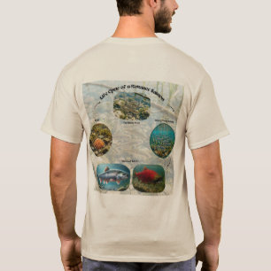 T-shirt Graphique du cycle de vie du saumon Kokanee