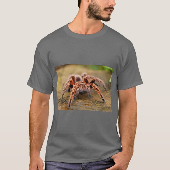 T-shirt Graphisme araignée nature (Devant)