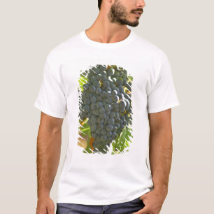T-shirt grappe de Cabernet Sauvignon dans le Château