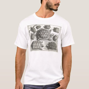 T-shirt Gravure à l'eau-forte vintage de tortue