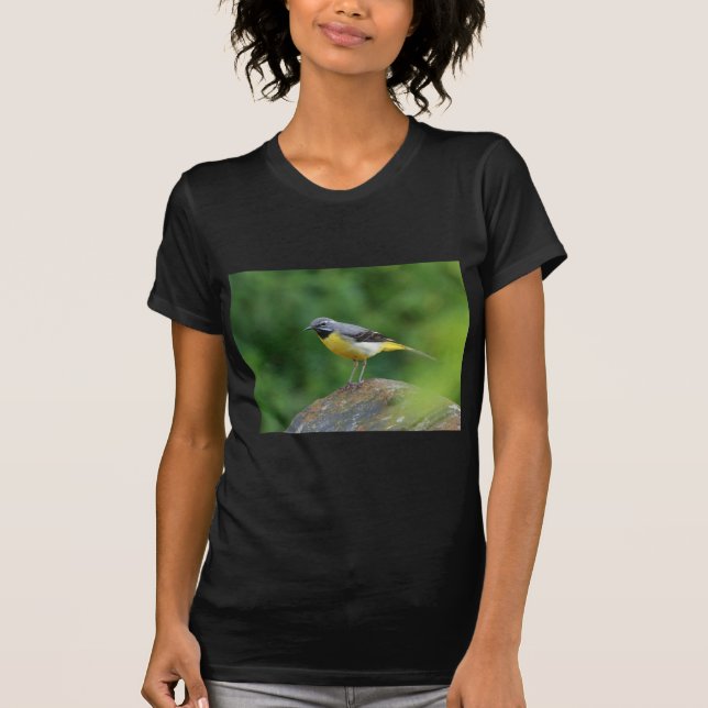 T-shirt Gray Wagtail - oiseau (Devant)