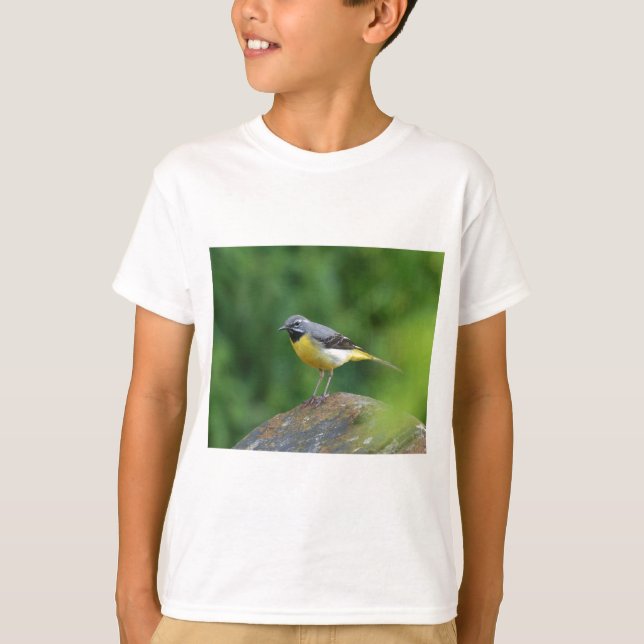 T-shirt Gray Wagtail - oiseau (Devant)