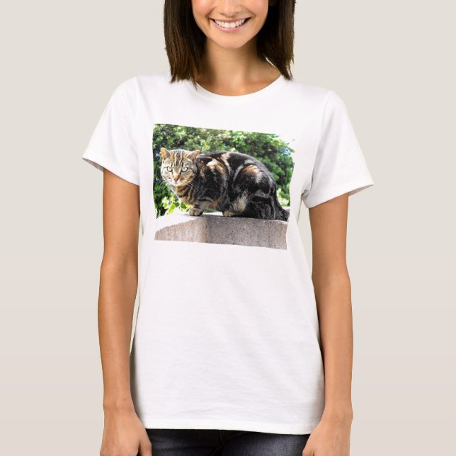T-shirt Gremlin le chat tabby (Devant)