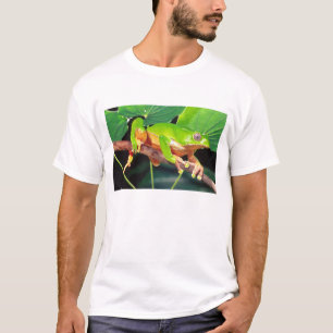 T-shirt Grenouille arboricole singe bicolore, Phyllomedusa