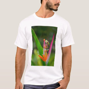 T-shirt Grenouille aux yeux rouges, Costa Rica