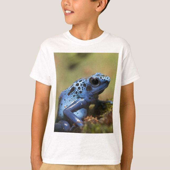T-shirt Grenouille bleue de dard de poison (Devant)