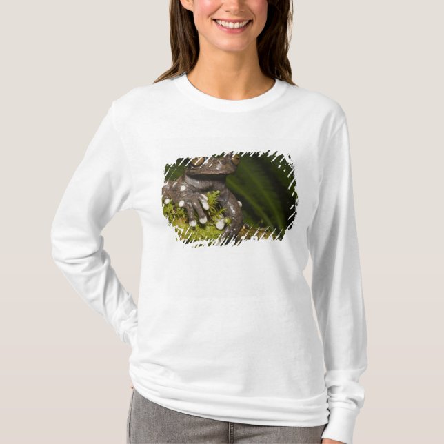 T-shirt Grenouille captive Tapichalaca Hyloscirtus 3 (Devant)