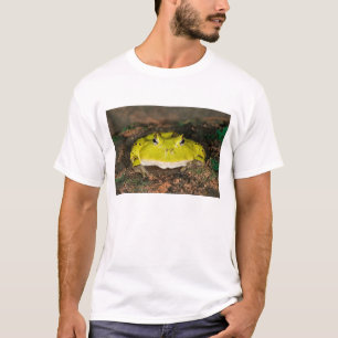 T-shirt Grenouille cornue brésilienne, Ceratophrys cornuta