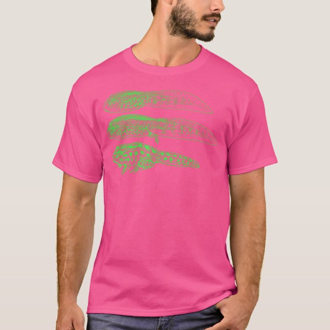 T-shirt Grenouille cycle de vie Toad Tadpole Bull Tree Amp (Devant)