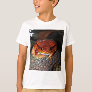 T-shirt Grenouille de tomate
