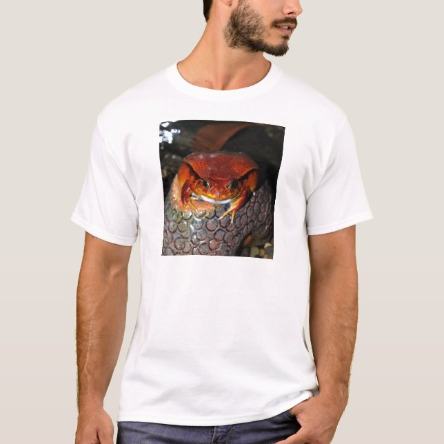 T-shirt Grenouille de tomate (Devant)