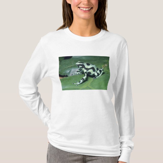 T-shirt Grenouille flèche empoisonnée, (Dendrobates auratu (Devant)