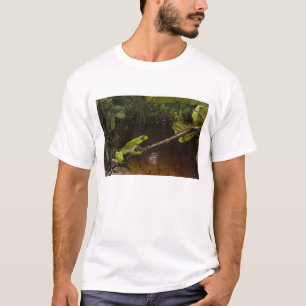 T-shirt Grenouille géante Phyllomedusa bicolor) 2