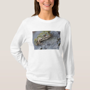 T-shirt Grenouille léopard du nord, Île transparente,