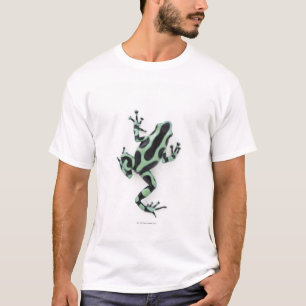 T-shirt Grenouille noire et verte 2 de dard de poison