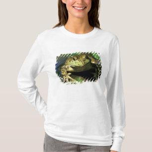 T-shirt Grenouille taureau.