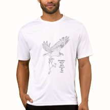 Grenouilles volantes