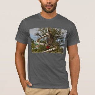 T-shirt Gris africain du Congo sur une oscillation
