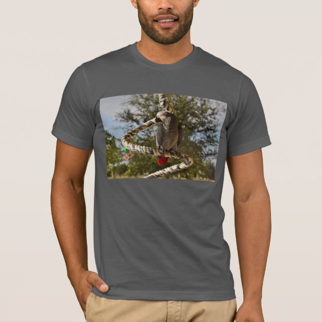 T-shirt Gris africain du Congo sur une oscillation (Devant)