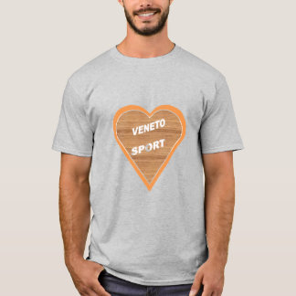 T-shirt gris homme VENETO SPORT