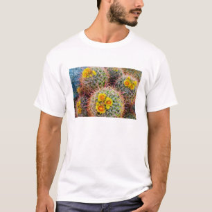 T-shirt Gros cactus baril, Californie