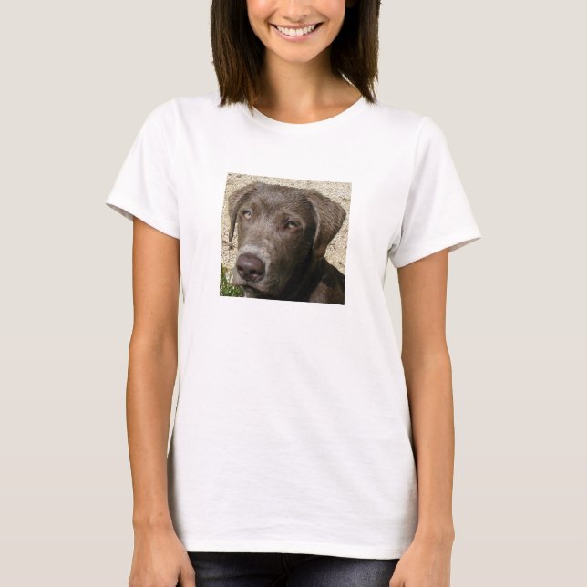 T-shirt Gros chef de laboratoire humide (Devant)