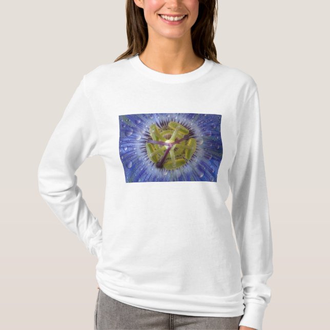 T-shirt Gros plan de fleur de la passion couverte de rosée (Devant)