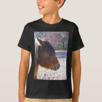 Gros plan sur un cheval brun, petit poney brun