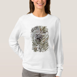 T-shirt Gros plan sur un cône de pin gelé, Yellowstone