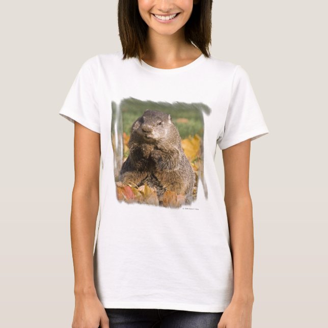 T-shirt Groundhog (Devant)