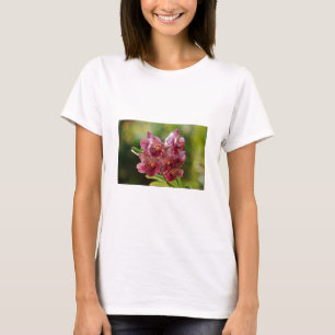 T-shirt Groupe Tropical Vanda Orchid