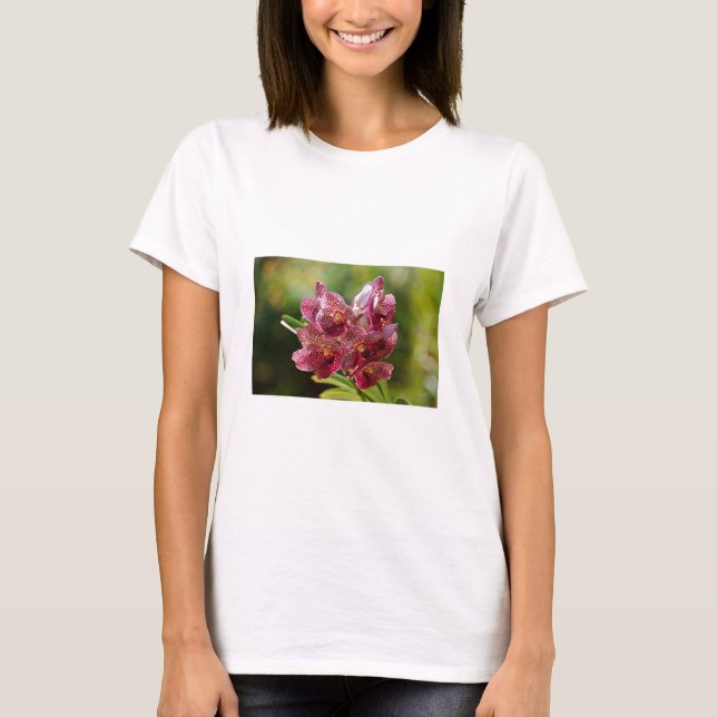 T-shirt Groupe Tropical Vanda Orchid (Devant)