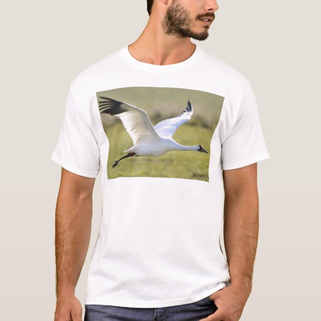 T-shirt Grue de huée (Grus americana) (Devant)