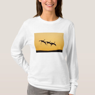 T-shirt Grue du Canada atterrissant au coucher du soleil